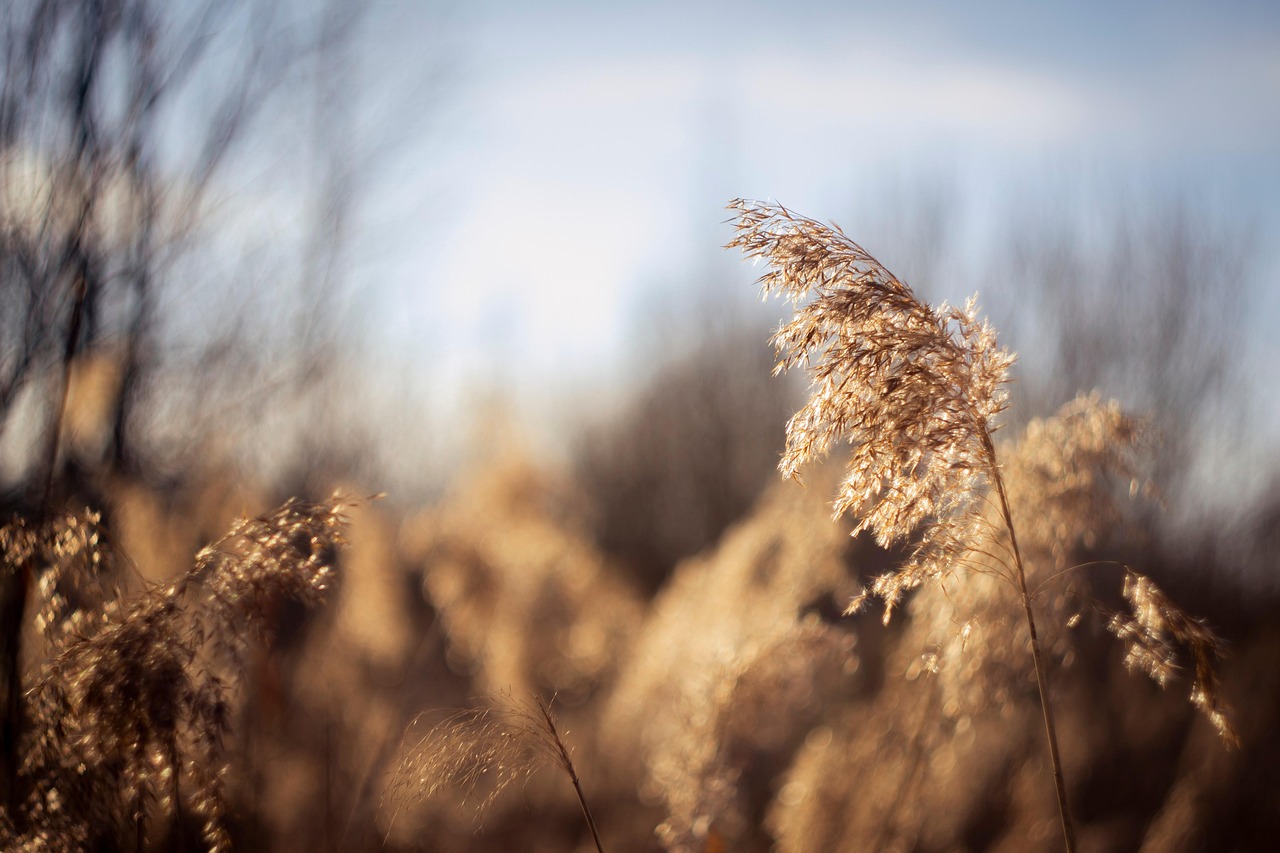 스트레스 관리: 마음을 진정시키는 방법