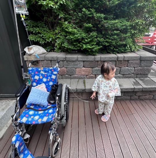 돌치레