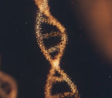 전립선 비대증 증상 원인 예방법