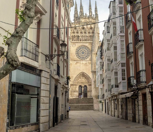 &ldquo;삼진그룹 영어토익반&rdquo; , 직장문화 집단문화 대응 개인주의 시민연대