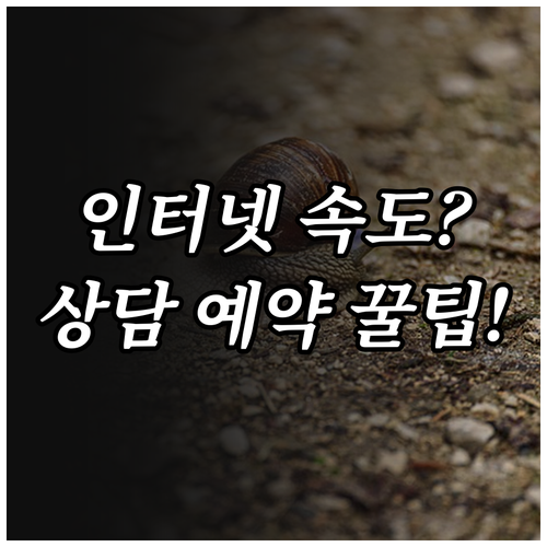 인터넷 속도 저하 원인 확인과 SK브..