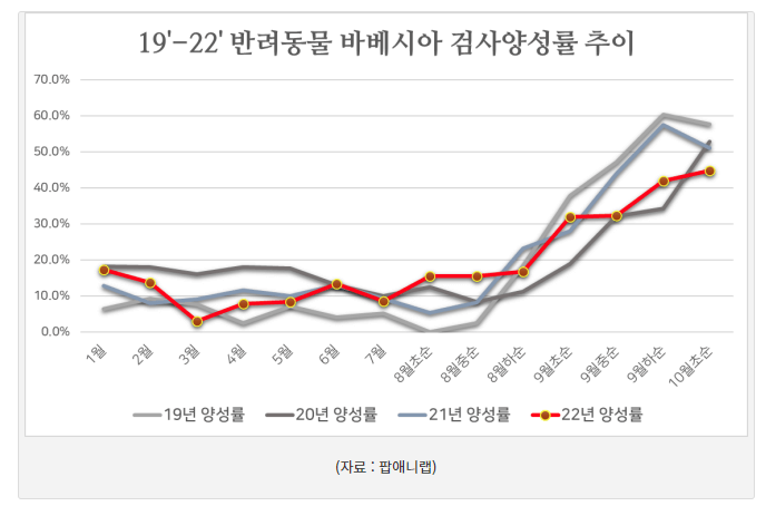 강아지 진드기 바베시아