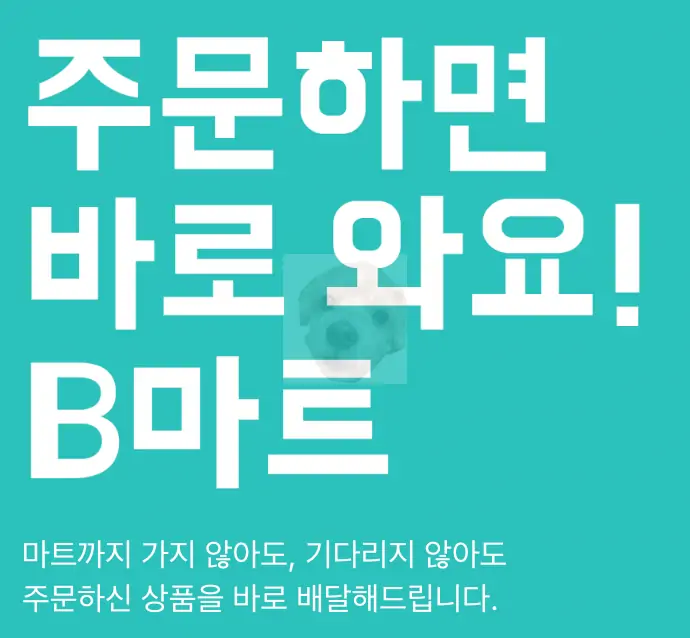요마트와 비마트 광고 문구 사진