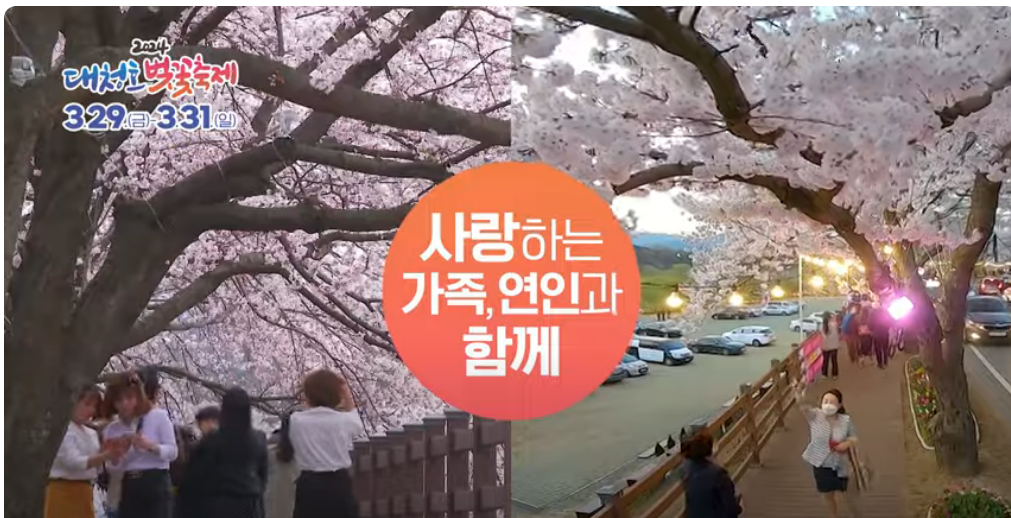 대전 동구 대청호 벚꽃축제 프로그램