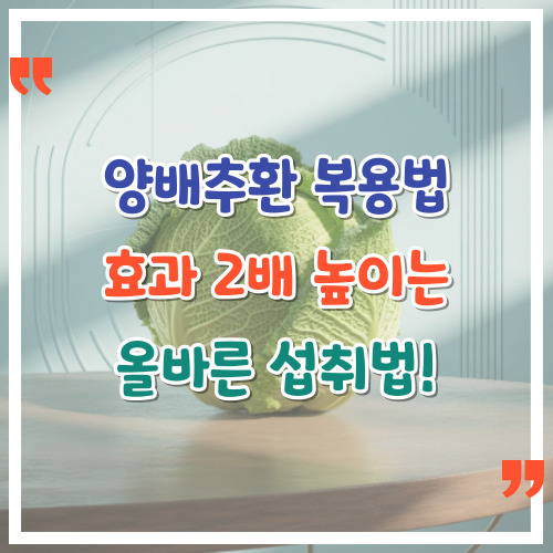 양배추환-복용법-효과-2배-높이는-올바른-섭취법