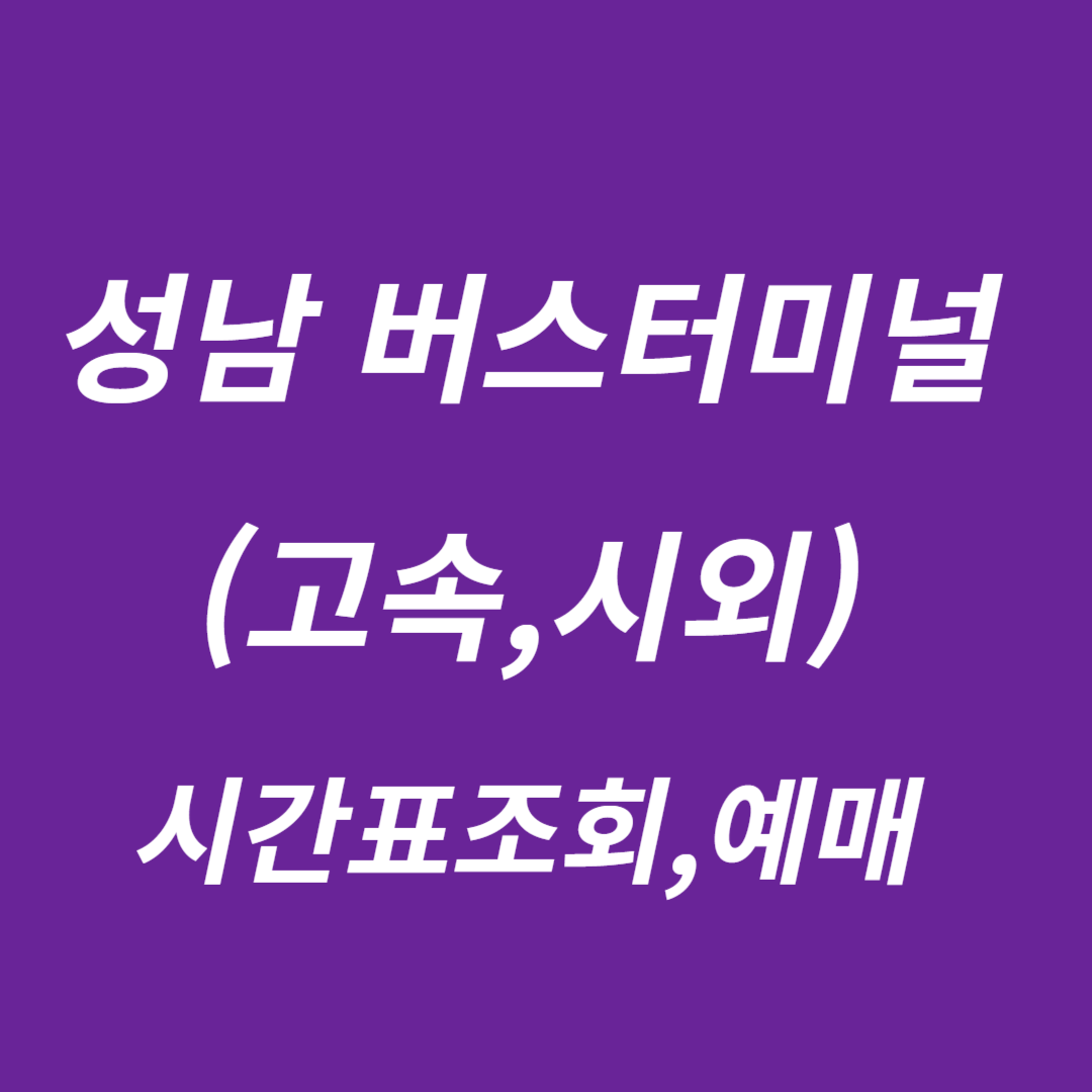 성남버스터미널 시간표 조회,예매