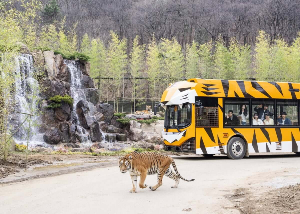 문화누리카드 놀이동산 자유이용권 구매방법 참고 이미지 35