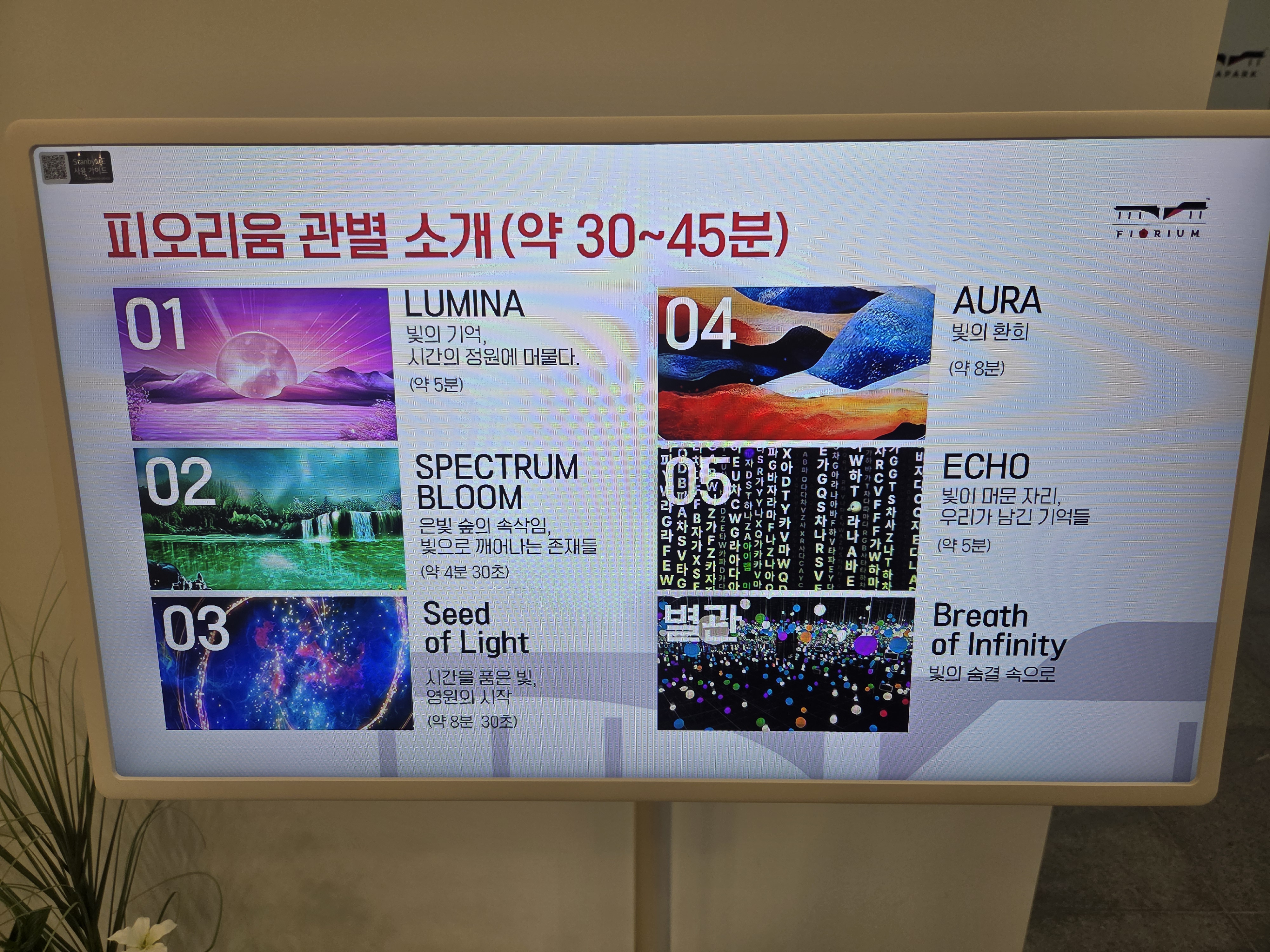 피오리움