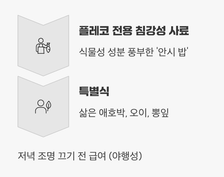 먹이 - '채식' 위주의 건강한 식단
