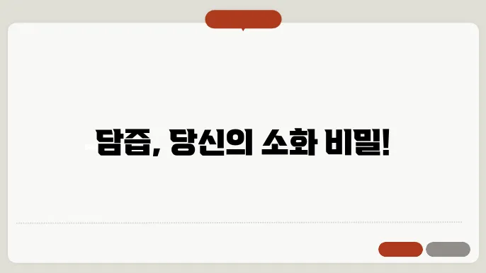 담즙의 특징 알아보기