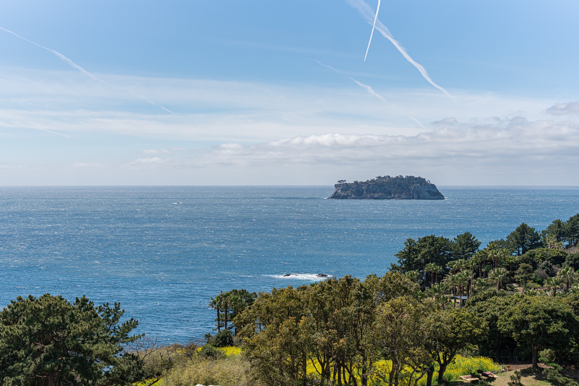 #JW가든 #JW메리어트제주 #댄싱두루미 #더플라잉호그 #아일랜드키친 #유채꽃 #제주사진 #제주여행 #제주유채꽃 #제주호텔