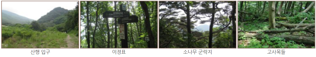 주왕산 등산코스