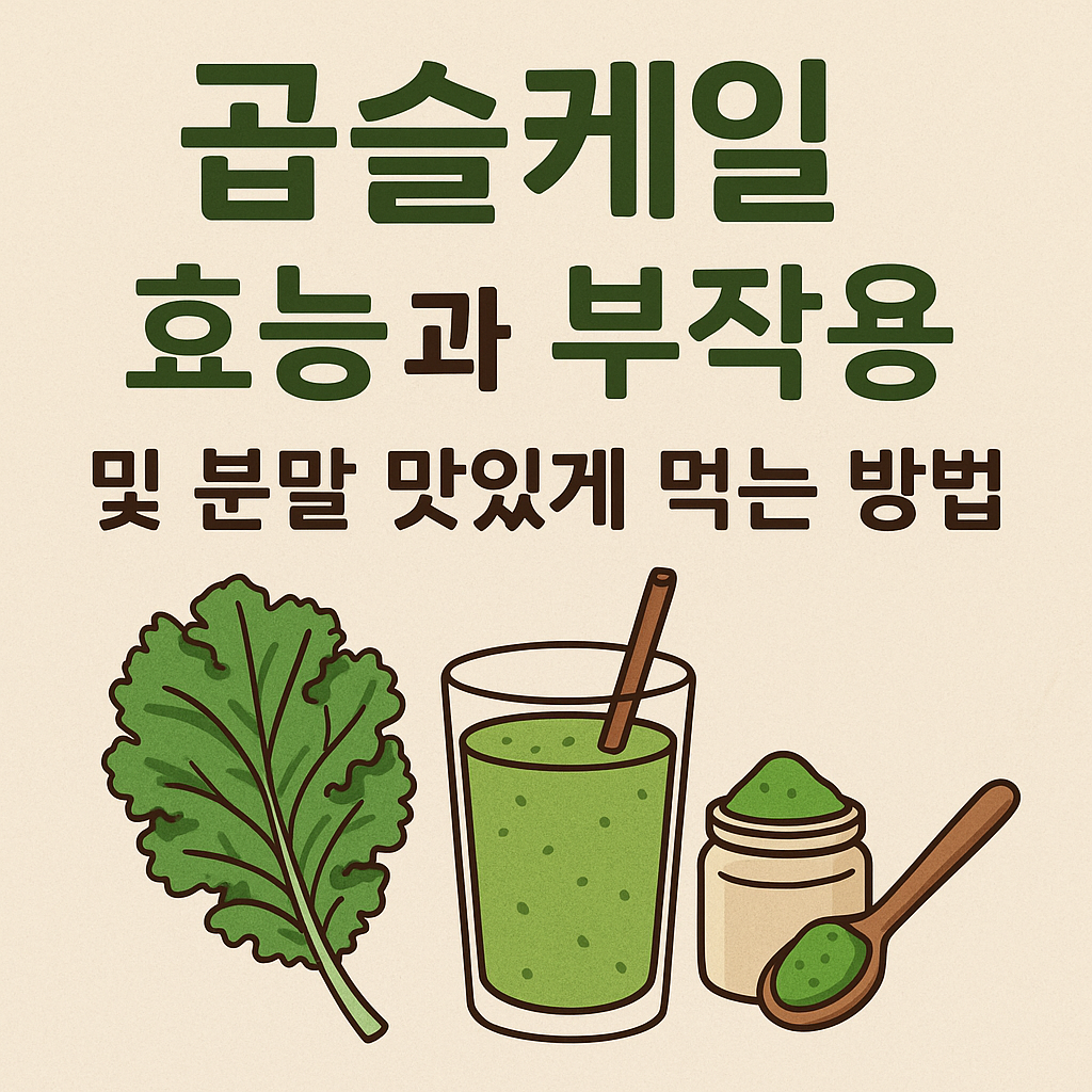 곱슬케일 효능과 부작용