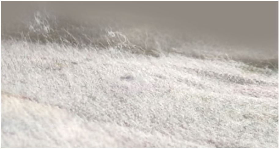 곰팡이 걱정없는 쿨매트 추천