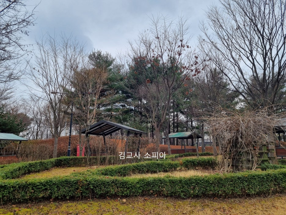 고양피크닉시민 공원 이용 후기 🏞️🌿&amp; 팁