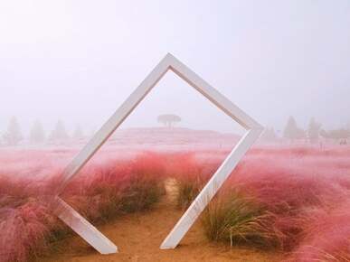 합천 핑크뮬리 신소양체육 공원 맛집 및 무료 주차 꿀팁