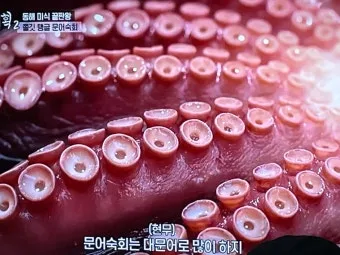 전현무계획2 문어숙회 수제비 골뱅이 맛집 위치 안내_8