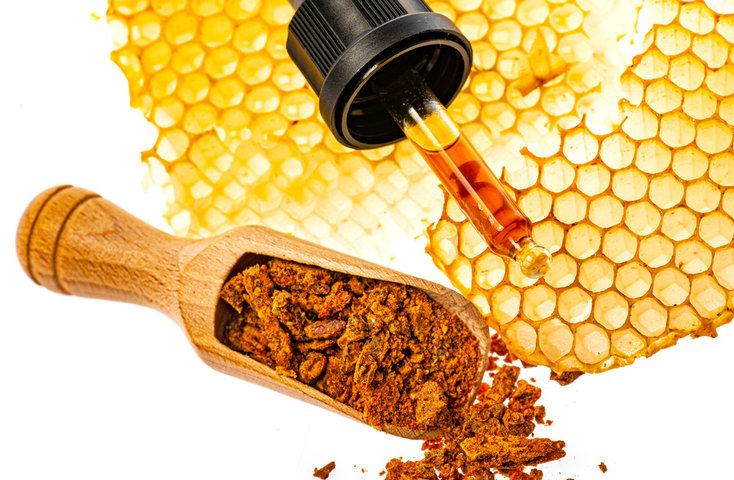 프로폴리스의 효능 및 부작용 총정리