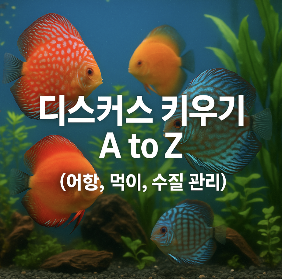 디스커스 키우기 A to Z (어항, 먹이, 수질 관리)