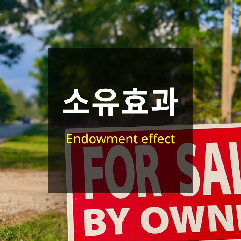 소유효과