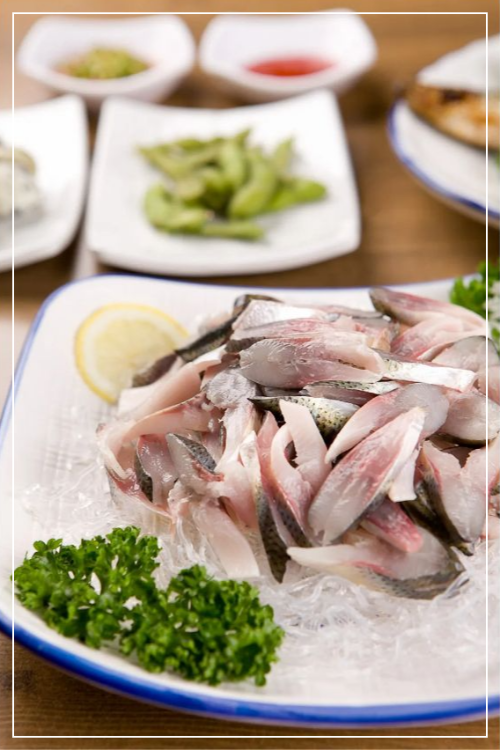 전어 효능 전어 제철 전어회