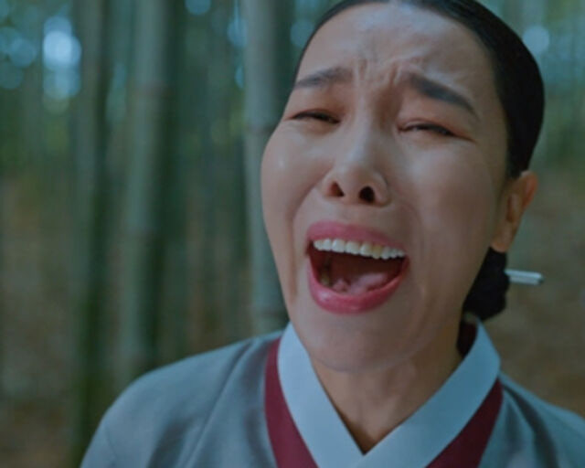 차청화3