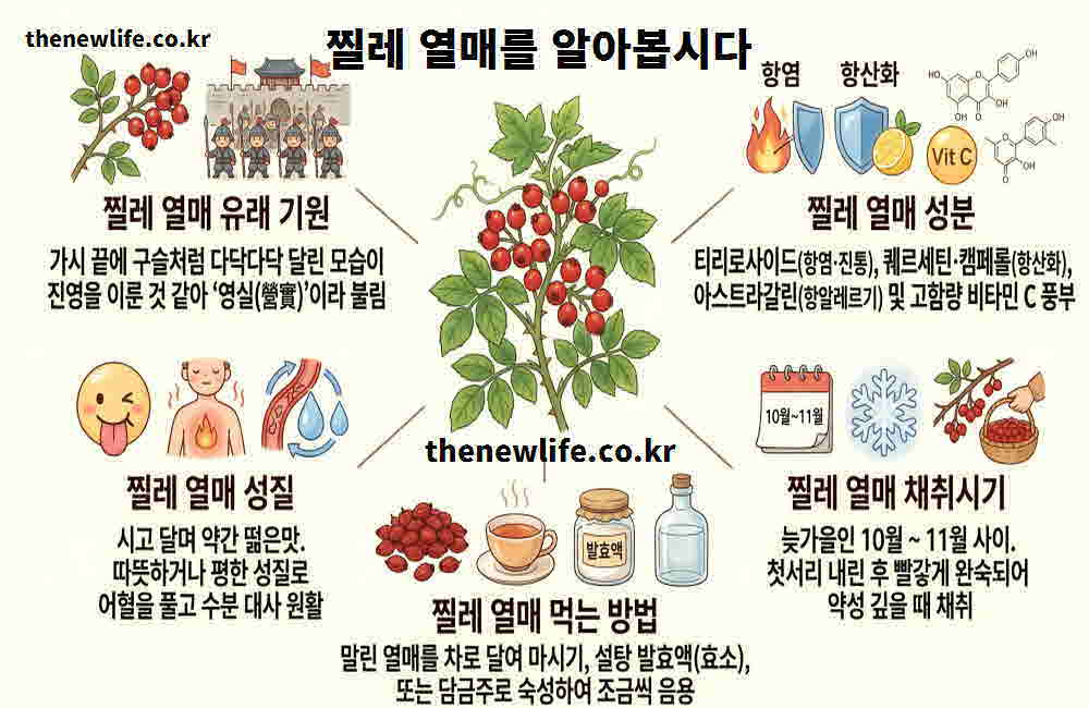 찔레 열매효능 기본정보