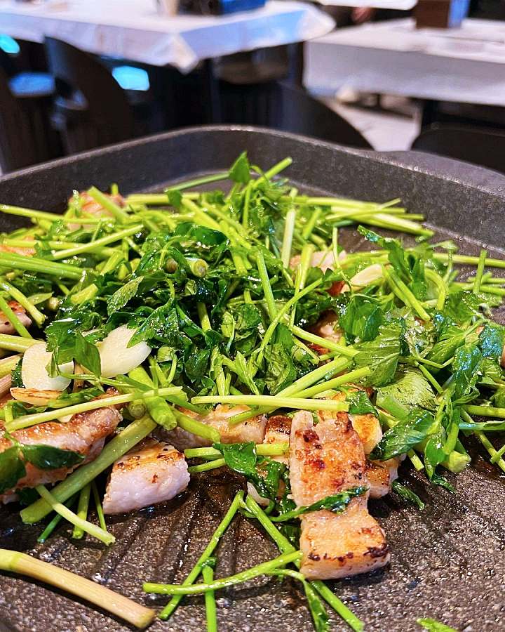 생방송오늘저녁 홍대 연남동 미나리 삼겹살 맛집 추천