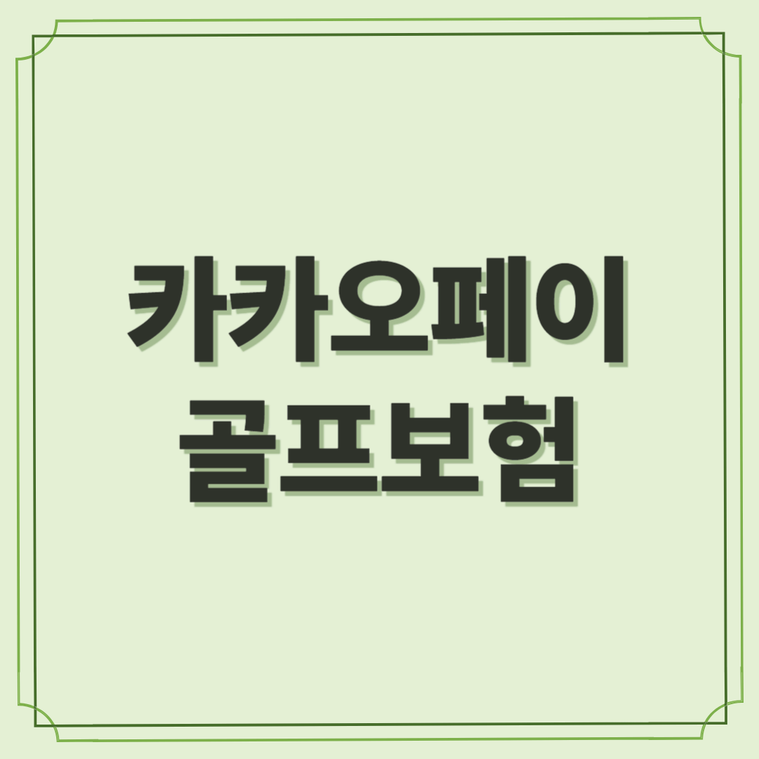 카카오페이 골프보험