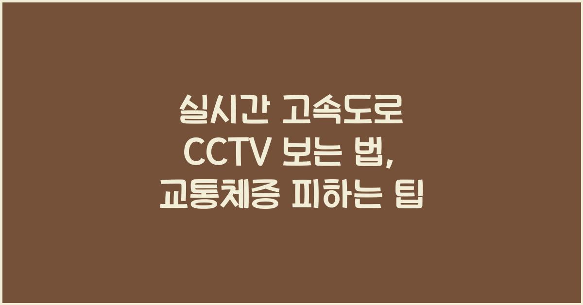 실시간 고속도로 cctv 보는 법