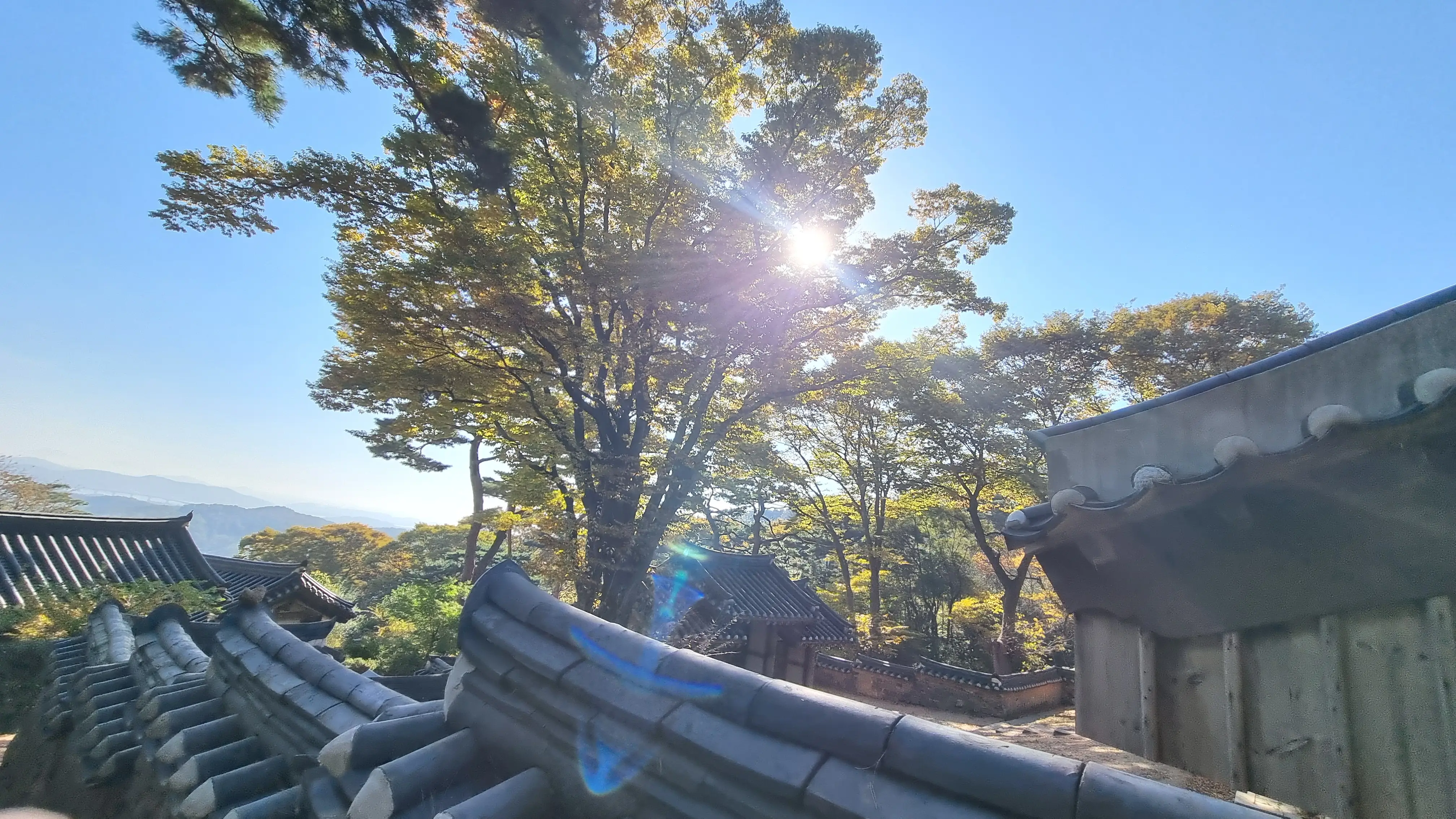 단풍이 시작된 강화 전등사, 레트로 까페 조양방직, 주차장, 메뉴 , 강화도 여행