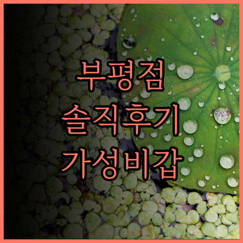이코노미호텔 인천부평점 솔직 후기..