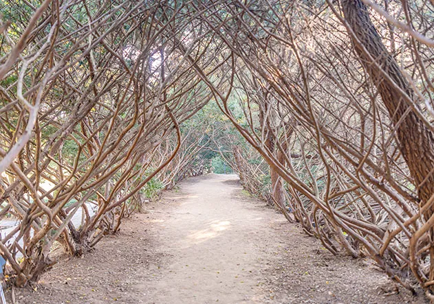 벽초지수목원-축제