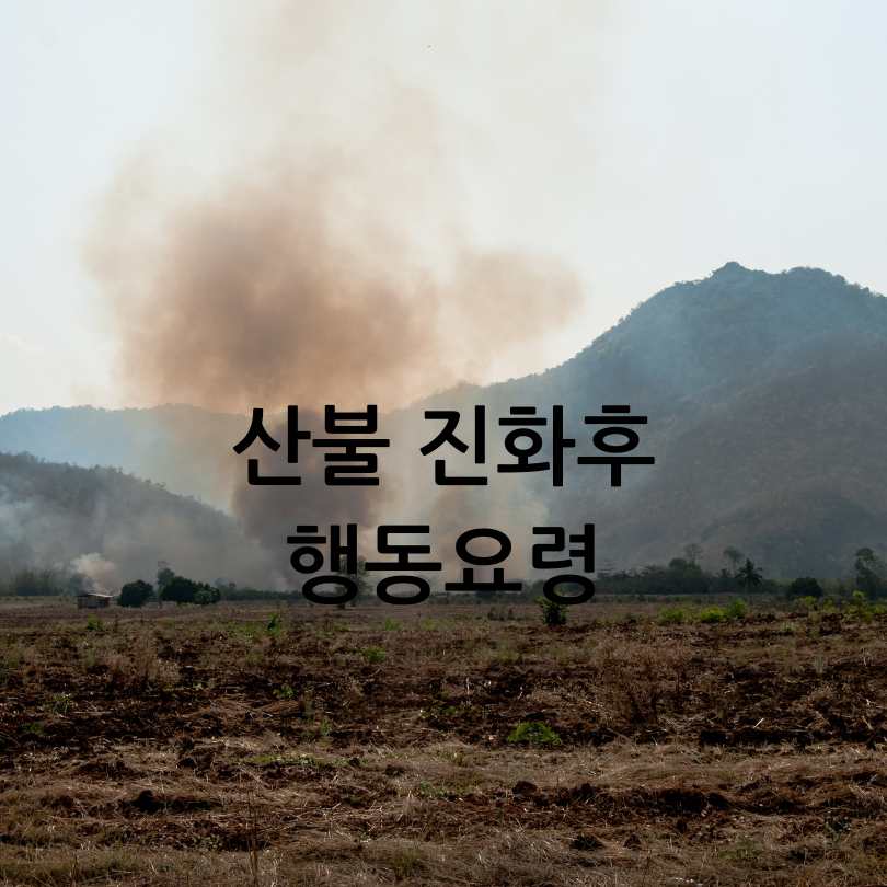 산불 국민행동요령