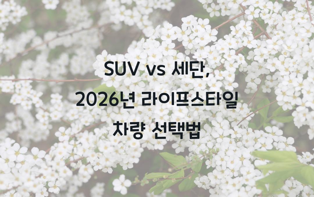 SUV vs 세단, 내 라이프스타일에 맞는 차량 선택법