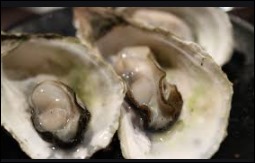 굴의 효능-2