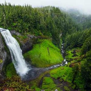 온누리상품권-지류