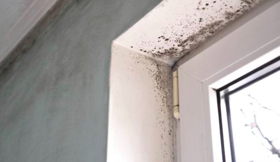 2023 장마기간&amp;#44; 장마 대비방법(운전&amp;#44; 빨래&amp;#44; 제습 관리)