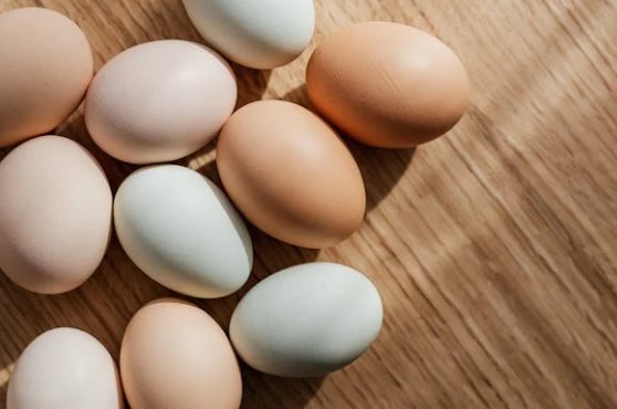 계란 하루 적정 섭취량