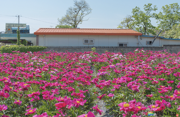 5월 가볼만한 여행지