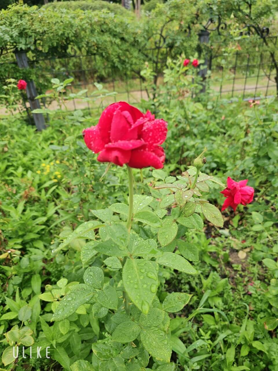 장애인 이동권 보장과 교통 혁신