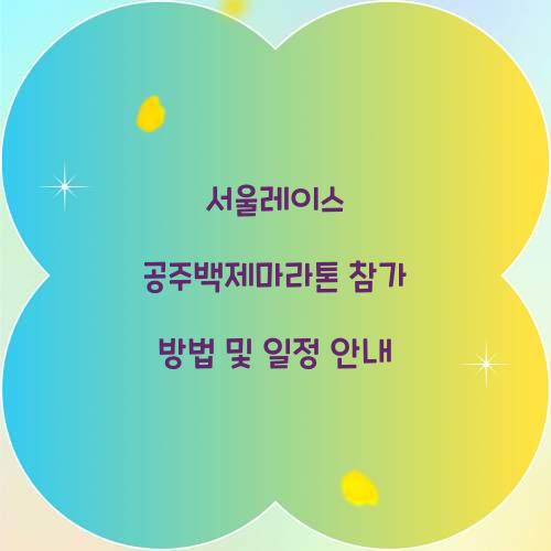 서울레이스 공주백제마라톤