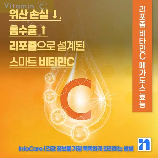 리포좀 비타민C 메가도스 효능