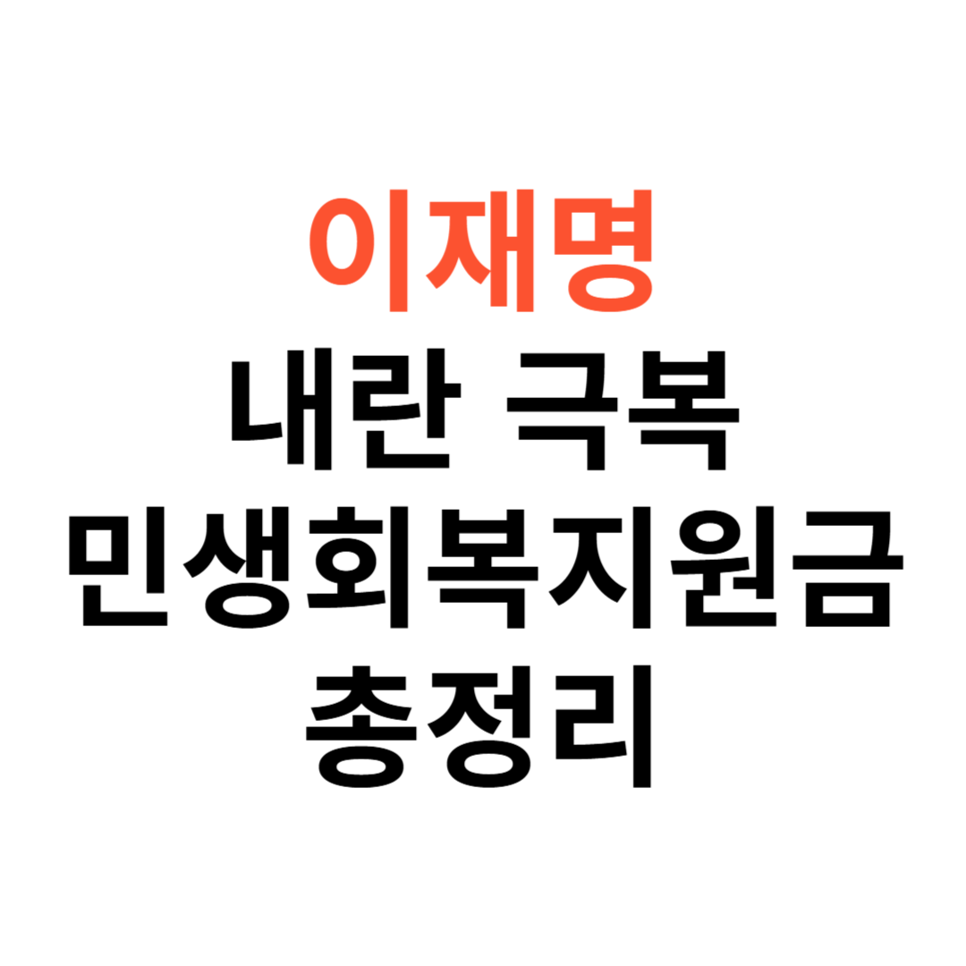 민생회복지원금 25만원