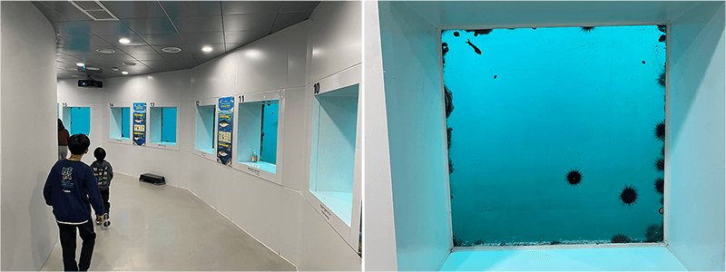 바닷속 전망대 사진