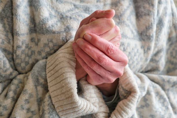 손발이 찰 때 좋은 음식 BEST 7 ❘혈액순환을 돕는 따뜻한 식단