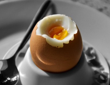 근육이 당신의 노화를 결정한다!