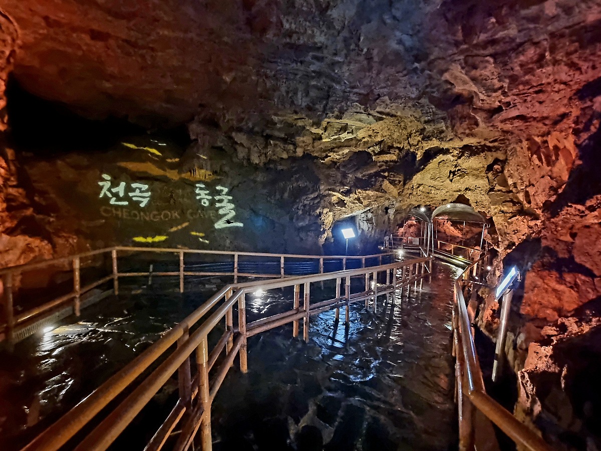 동해 가볼만한곳 천곡황금박쥐동굴 후기 비 오는 날 좋은 실내 여행지