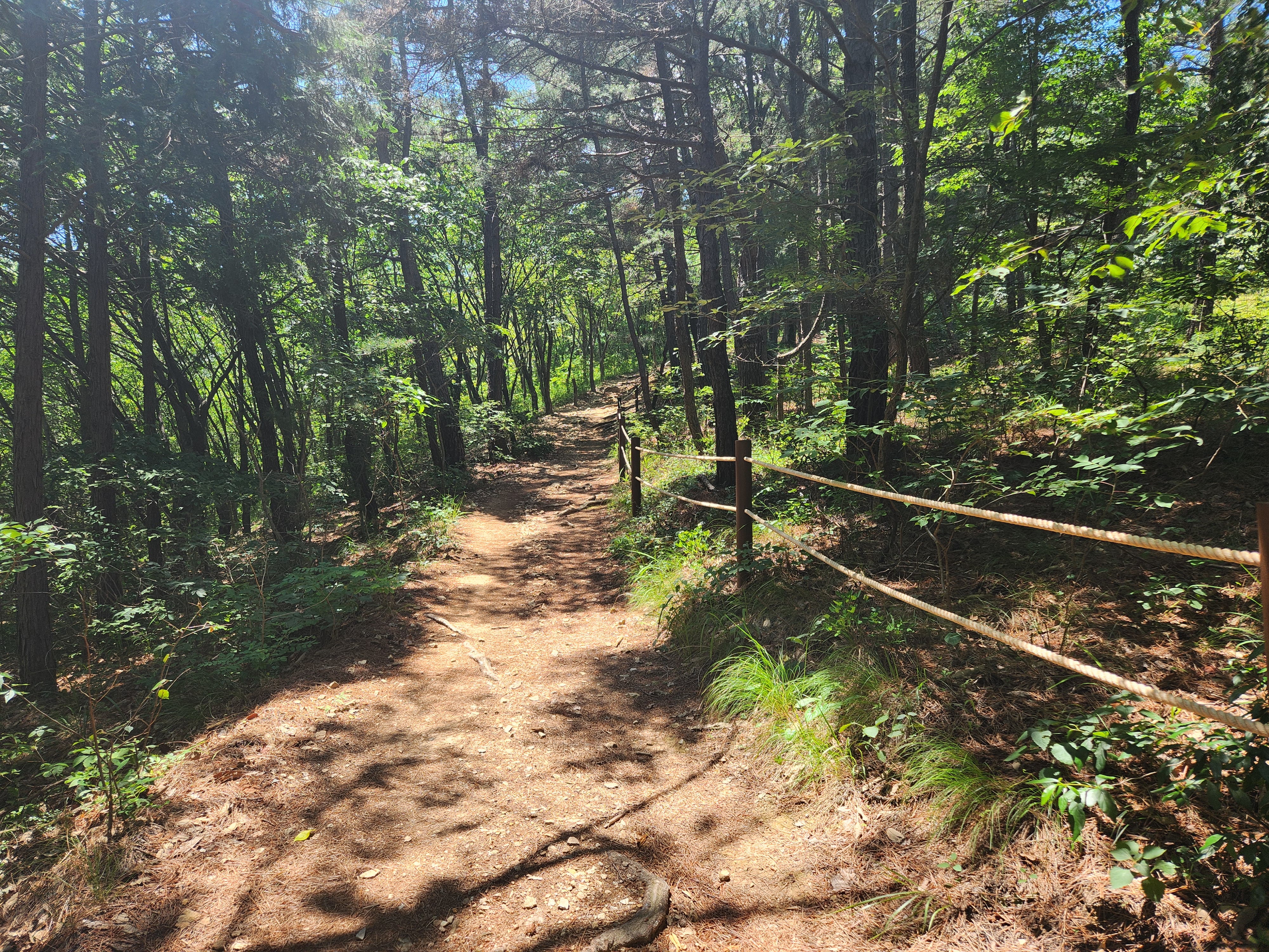 산성산 (21)