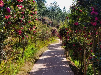 압해도 분재공원 근처 선착장에서의 낚시 농어와 도다리 포인트 소개 완벽 낚시터_1